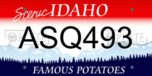 ASQ493 Idaho License Plate