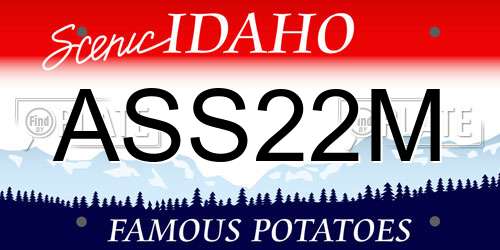 ASS22M Idaho License Plate