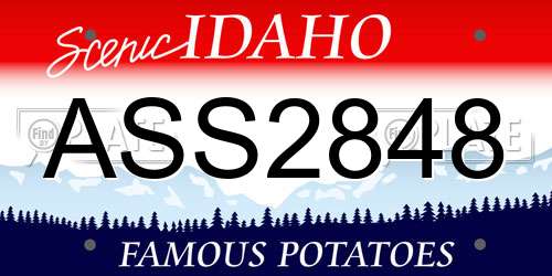 ASS2848 Idaho License Plate