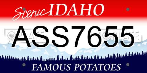 ASS7655 Idaho License Plate