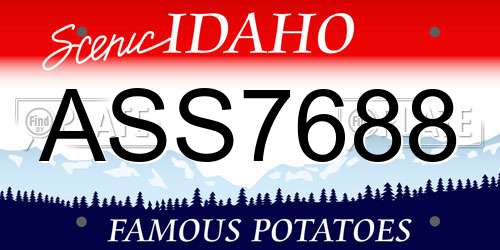 ASS7688 Idaho License Plate