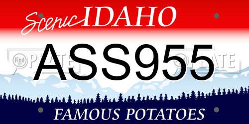 ASS955 Idaho License Plate