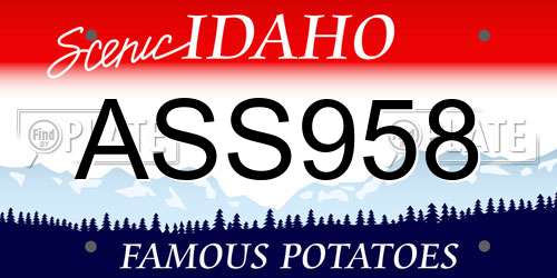 ASS958 Idaho License Plate