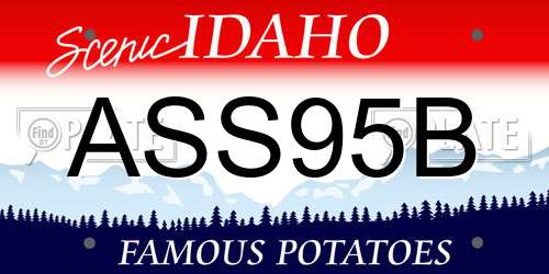 ASS95B Idaho License Plate