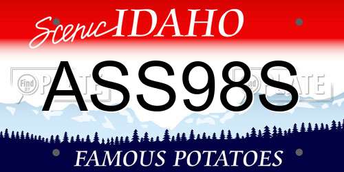 ASS98S Idaho License Plate