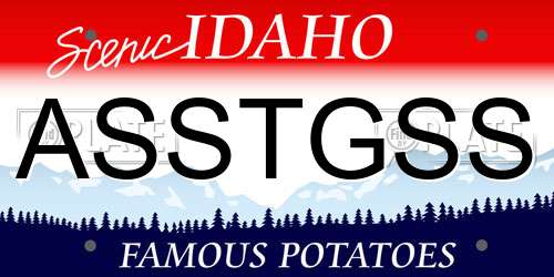 ASSTGSS Idaho License Plate