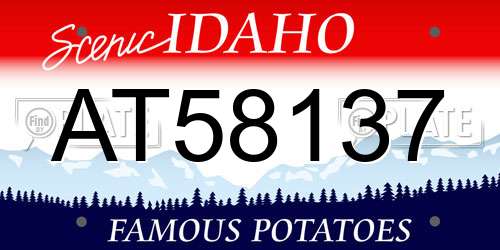 AT58137 Idaho License Plate