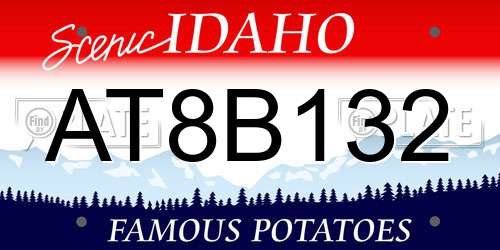 AT8B132 Idaho License Plate