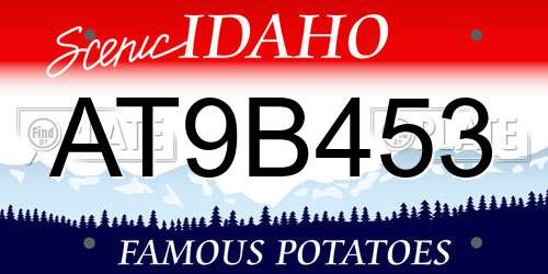 AT9B453 Idaho License Plate