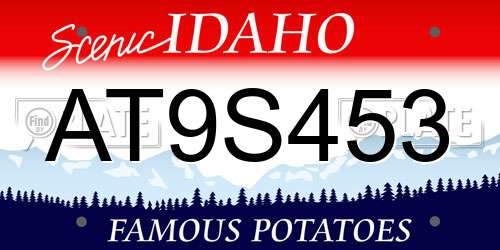 AT9S453 Idaho License Plate