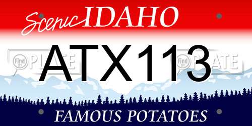 ATX113 Idaho License Plate