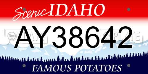 AY38642 Idaho License Plate