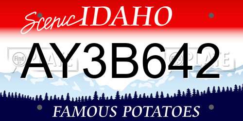 AY3B642 Idaho License Plate