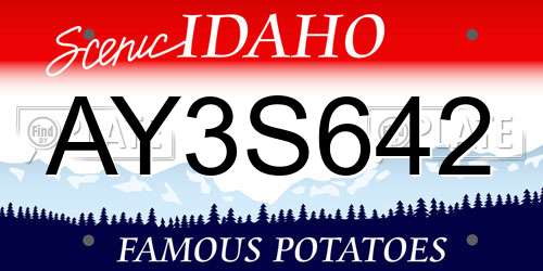 AY3S642 Idaho License Plate