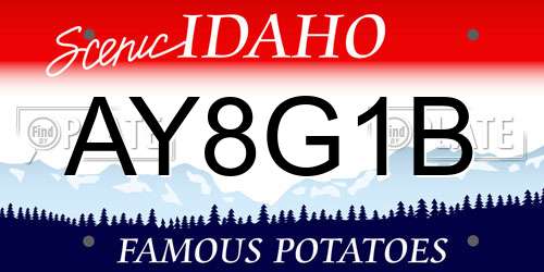 AY8G1B Idaho License Plate