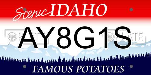 AY8G1S Idaho License Plate