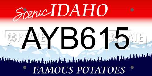 AYB615 Idaho License Plate