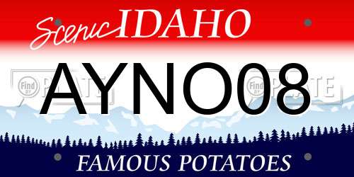 AYNO08 Idaho License Plate