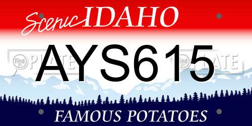 AYS615 Idaho License Plate