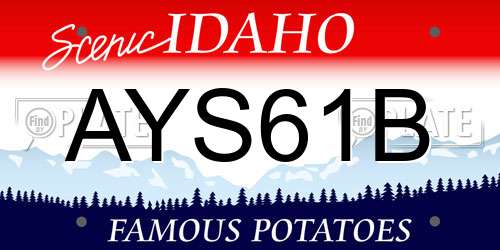 AYS61B Idaho License Plate