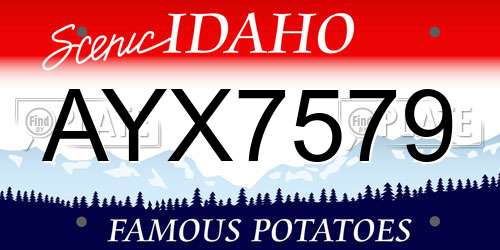 AYX7579 Idaho License Plate