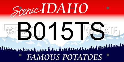 B015TS Idaho License Plate
