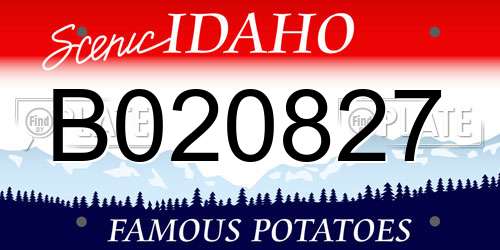 B020827 Idaho License Plate