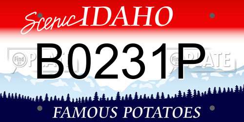 B0231P Idaho License Plate