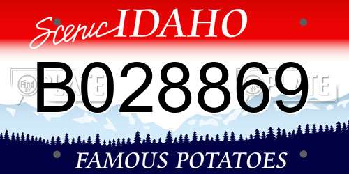 B028869 Idaho License Plate