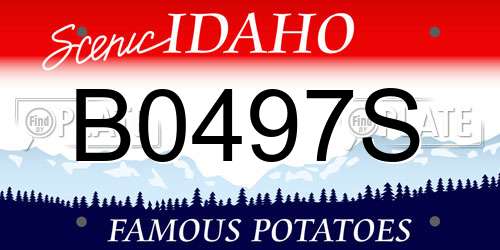 B0497S Idaho License Plate