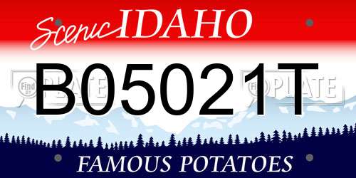 B05021T Idaho License Plate