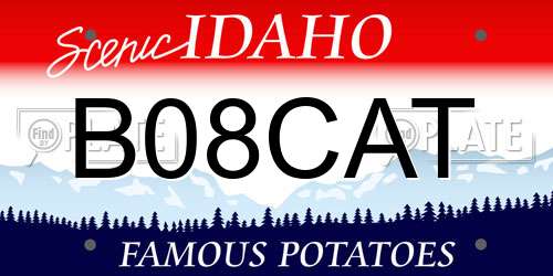 B08CAT Idaho License Plate