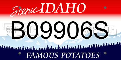 B09906S Idaho License Plate