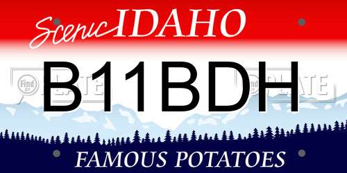 B11BDH Idaho License Plate