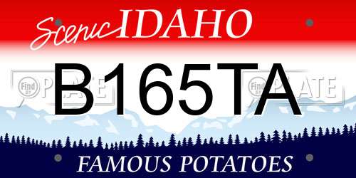 B165TA Idaho License Plate