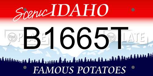 B1665T Idaho License Plate