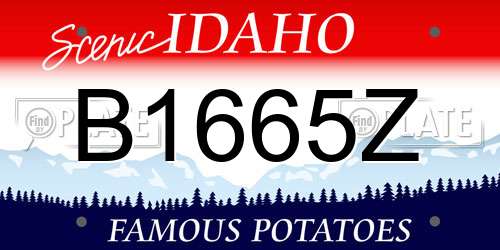 B1665Z Idaho License Plate