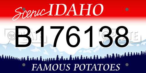 B176138 Idaho License Plate