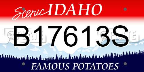 B17613S Idaho License Plate