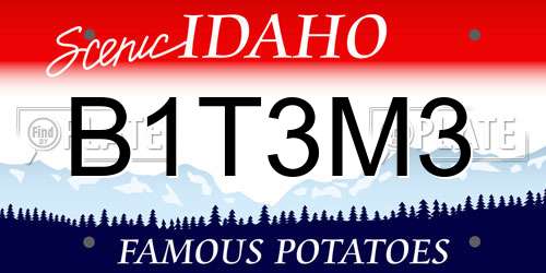 B1T3M3 Idaho License Plate