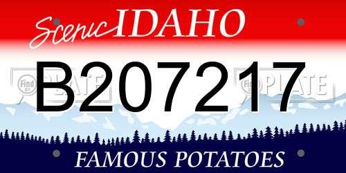 B207217 Idaho License Plate