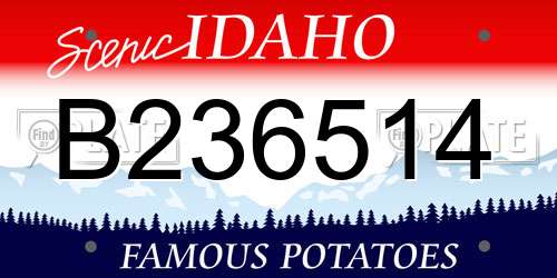 B236514 Idaho License Plate