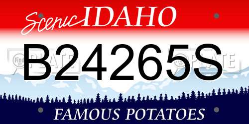 B24265S Idaho License Plate