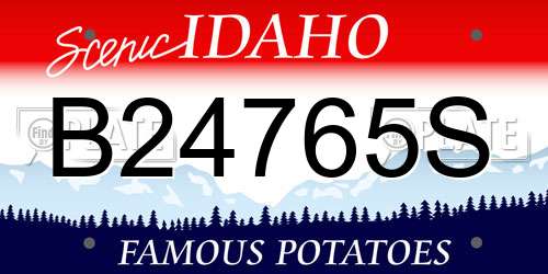B24765S Idaho License Plate