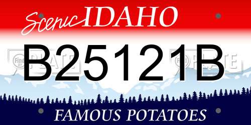 B25121B Idaho License Plate