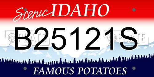 B25121S Idaho License Plate