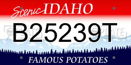 B25239T Idaho License Plate