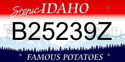 B25239Z Idaho License Plate