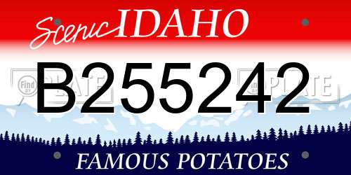 B255242 Idaho License Plate