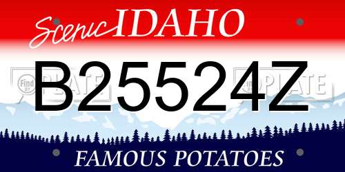 B25524Z Idaho License Plate